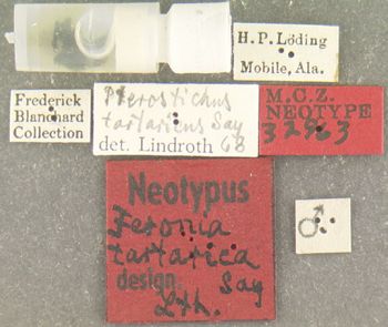 Media type: image;   Entomology 32963 Aspect: labels